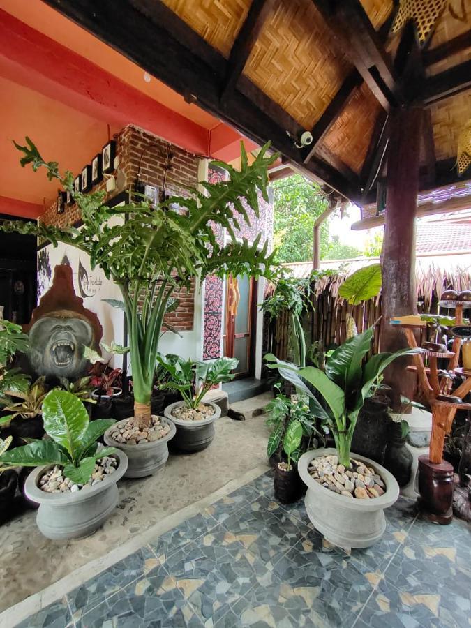 Green Travelodge Bukit Lawang Exterior photo